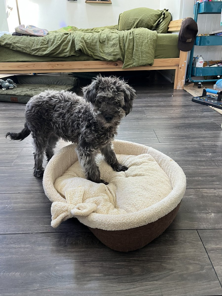 greycoutts's tweet photo. From 2 months to 6 months https://t.co/quwMVjmoQ8