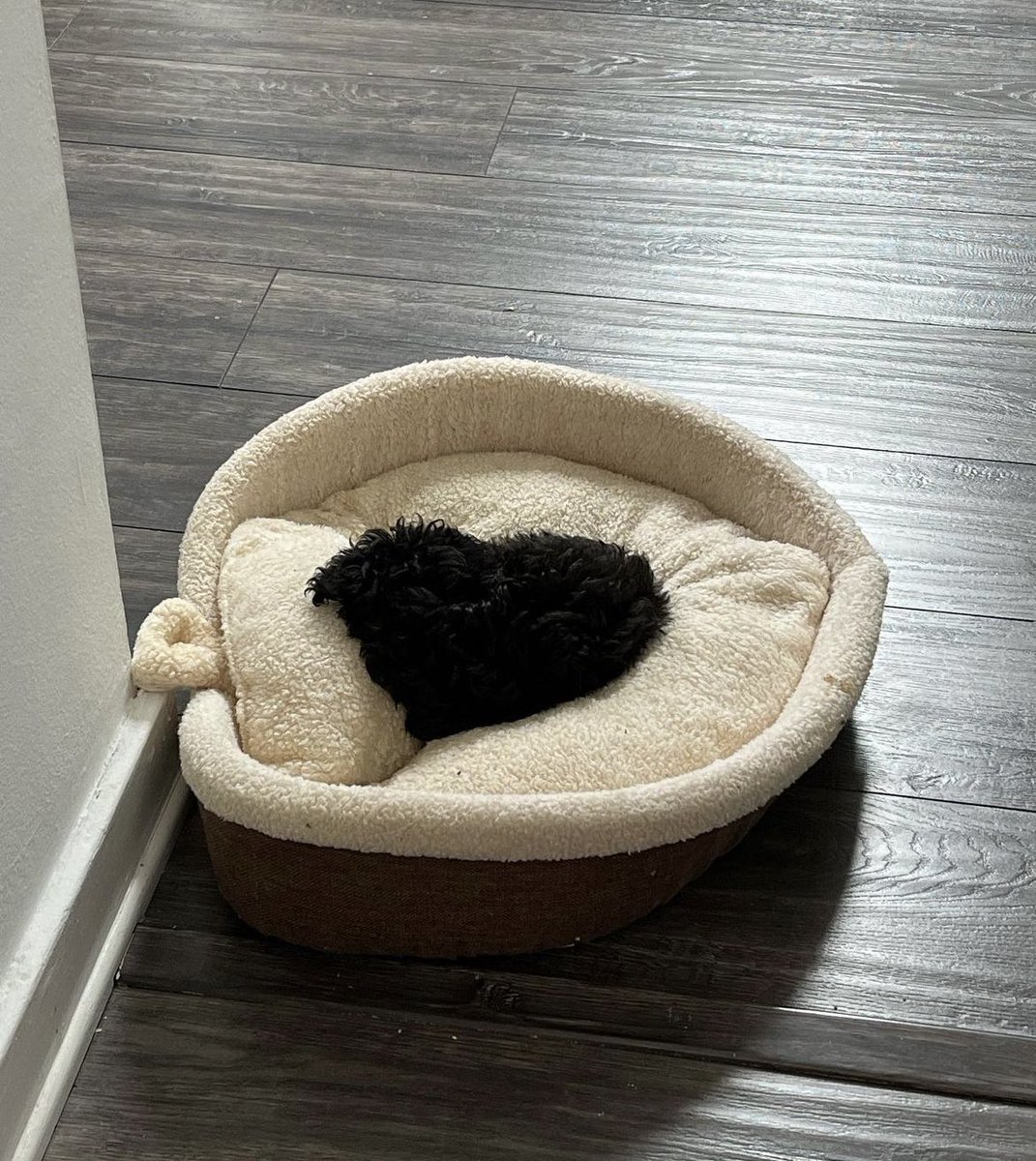 greycoutts's tweet photo. From 2 months to 6 months https://t.co/quwMVjmoQ8