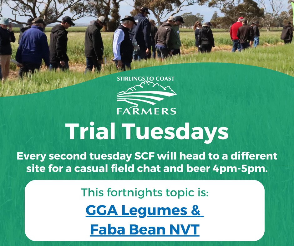 Beans, Beans, wonderful beans, the more you eat, the more you ... learn at our #SCFTrialsTuesdays tomorrow!

Come hear from <a href="/marksey77325134/">Mark Seymour</a> on <a href="/GGA_WA/">Grower Group Alliance</a> Acid Tolerant Rhizobium Faba Beans &amp; a local legume NVT

4-5pm @ Fulcher Rd (2km North of Fulcher/Boyup Brook Cranbrk Intersec)