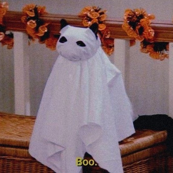 LuciaRM24's tweet photo. Here we go again! 😼 #NuevaFotoDePerfil #halloween #september https://t.co/sM4mDRBuXi