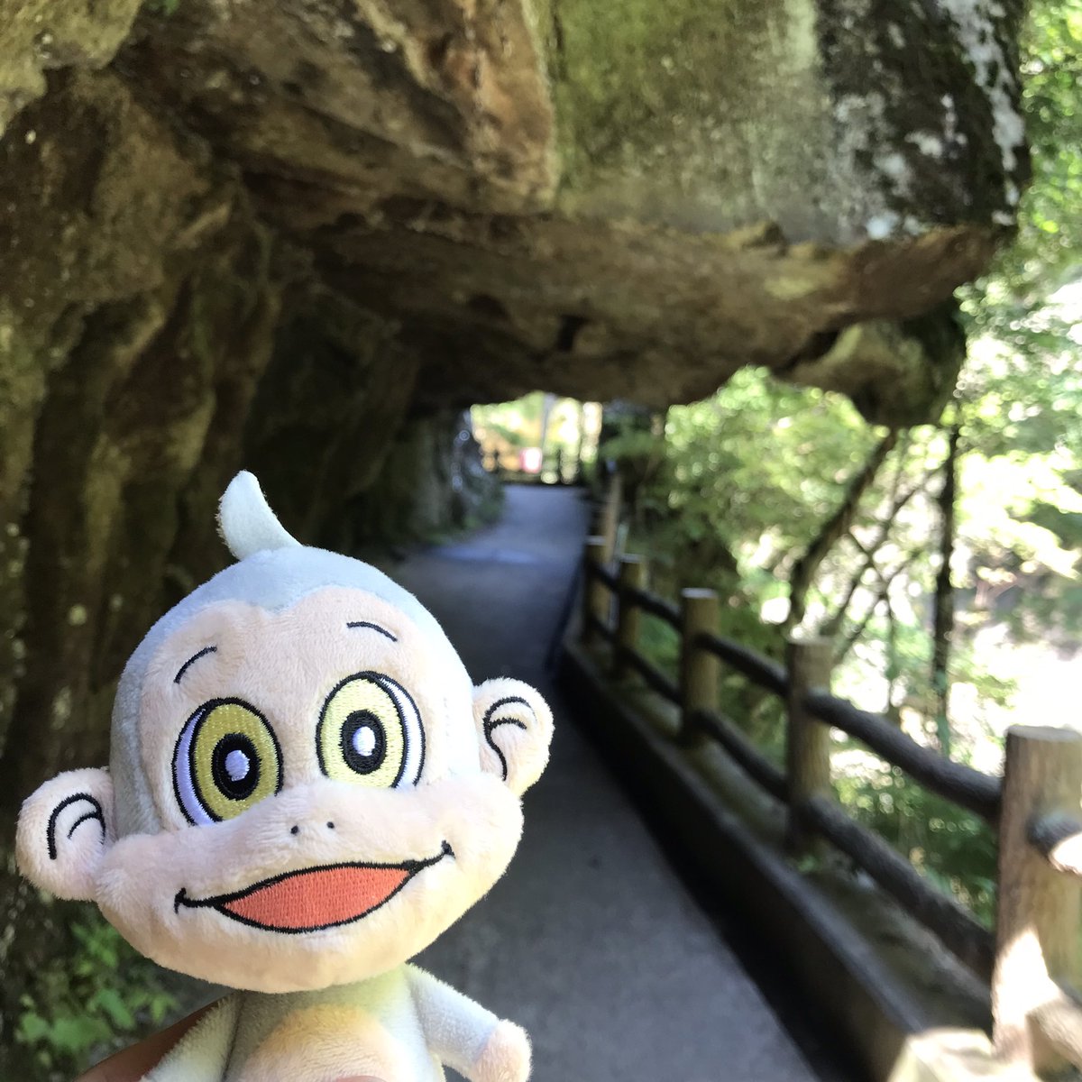 croscont's tweet photo. 先週はN活、なかなかできずに
一週間が経ってしましましたが

それでも！もんちーをお供にするのは
忘れませんでしたよ🤣💦

🍎🍇🍑🗻

アクティブなお猿時間でした✨

#withもんちー
#モンキーズ
#山梨旅行 https://t.co/Ngt2r4V5gt