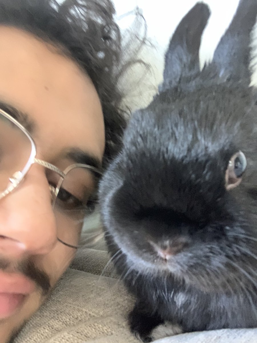 agelperezgone's tweet photo. I love my bunno, I honestly would literally take a bullet for that mfer, knowing he’ll switch me for a treat without skipping a blink 😘 https://t.co/PMzkoqa2Y4