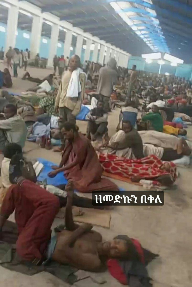 YeneMagna's tweet photo. STOP STATE SPONSORED ETHNIC CLEANSING AGAINST AMHARA PEOPLE IN ETHIOPIA. Dictator #Abiy #Ahmed is committing Genocide, killing Amhara civilian adults &amp; locking children into concentration camp.
#genocide #AmharaGenocide  #Amhara #Ethiopia #HumanRightsWatch #UnitedNations #Africa https://t.co/KD55mAW7m6