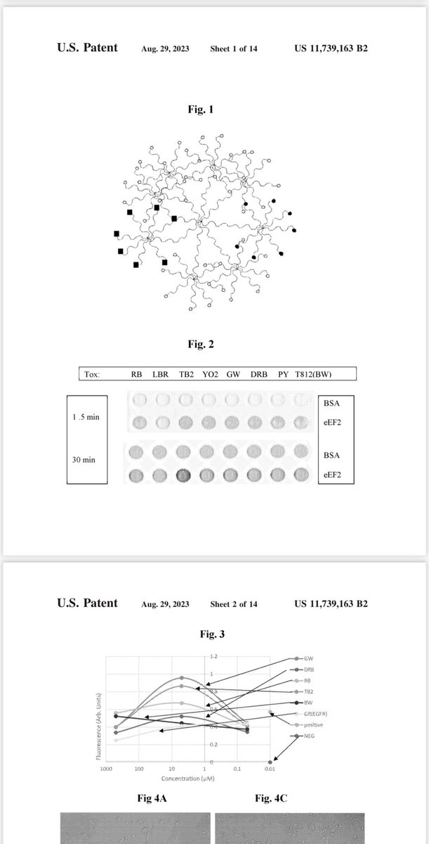daridor's tweet photo. #MuTaTo patent approval USA https://t.co/vEAlf2HAFd