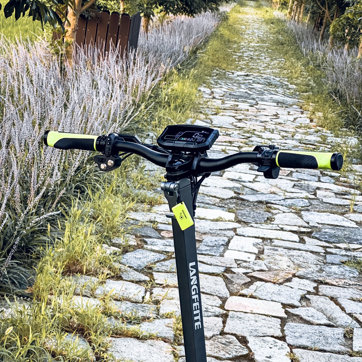 Langfeite tweet media