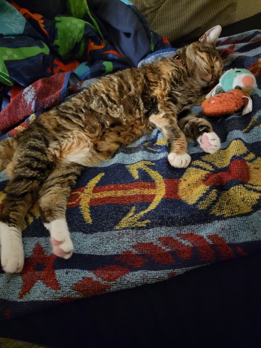 kitty_yeah