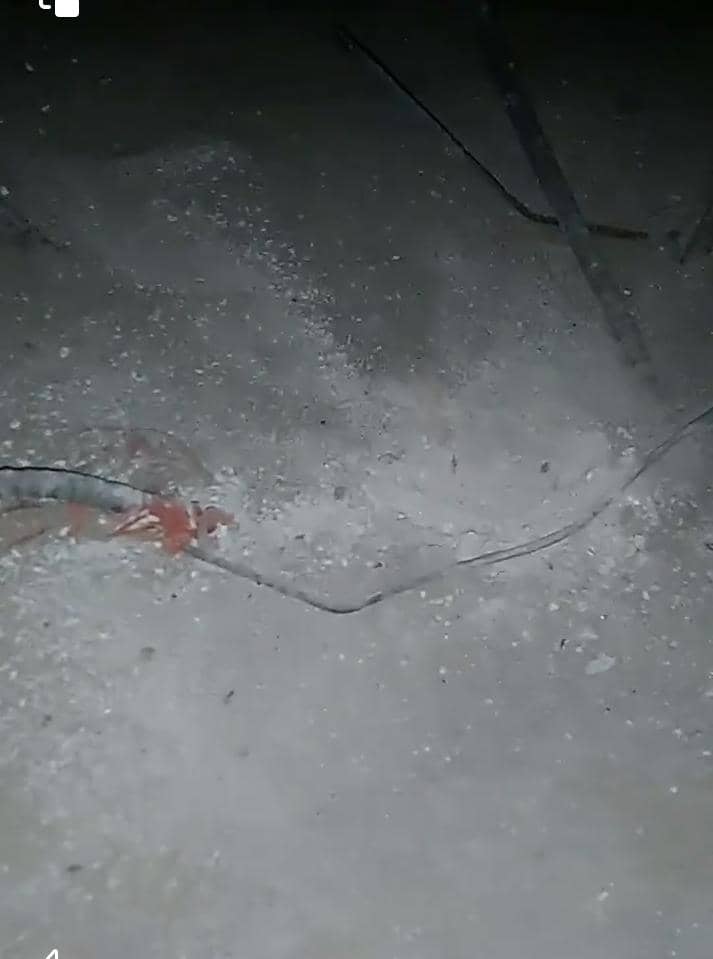 رمى مجهولون قنبلة يدوية في الساعات الأولى من فجر اليوم الإثنين على منزل أركان قوات #الحزام_الأمني بمحافظة #لحج العقيد توفيق الهابون .

ولم يخلف الإنفجار أي خسائر بشرية أو مادية ، حيث أن اركان قوات الحزام يتواجد في #مصر لدراسة القيادة والاركان
#اليمن
#عدن