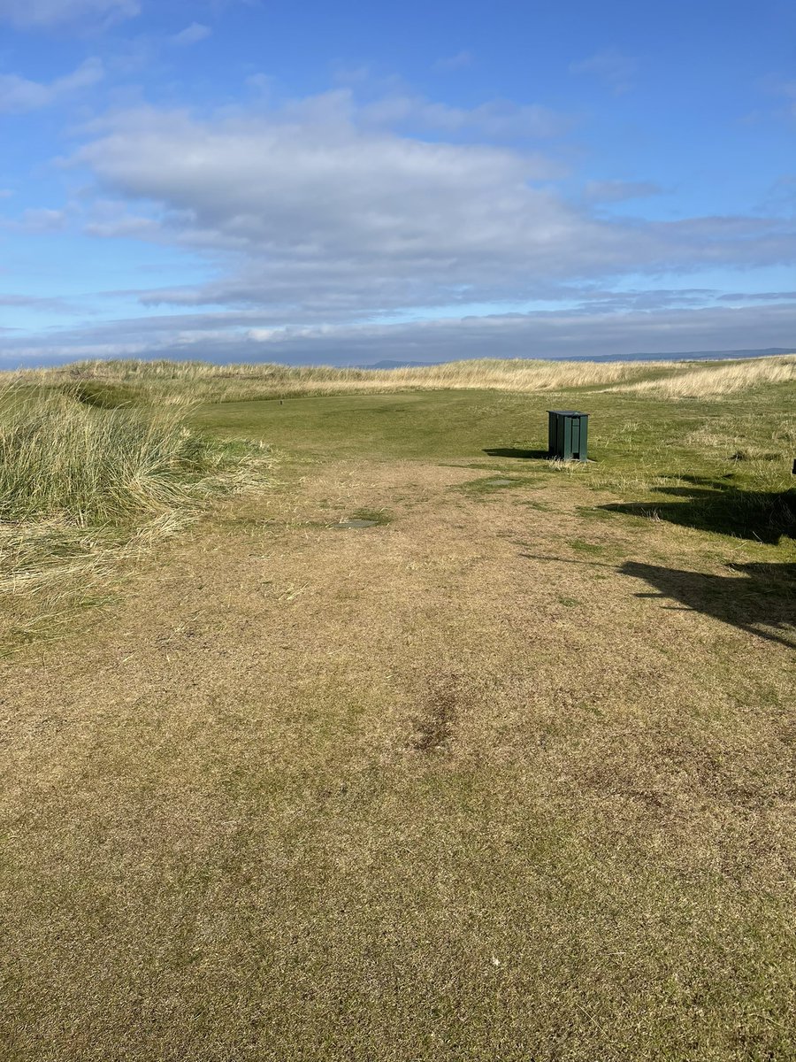 seanharkness1's tweet photo. 🔥 A little TLC is all it needs. #quadrop in there too. 5 days later @Quadropdosing @Aitkens_turf @rainbirdgolfuk @RainBirdGolf @terralift https://t.co/qkjYl8r0ZI