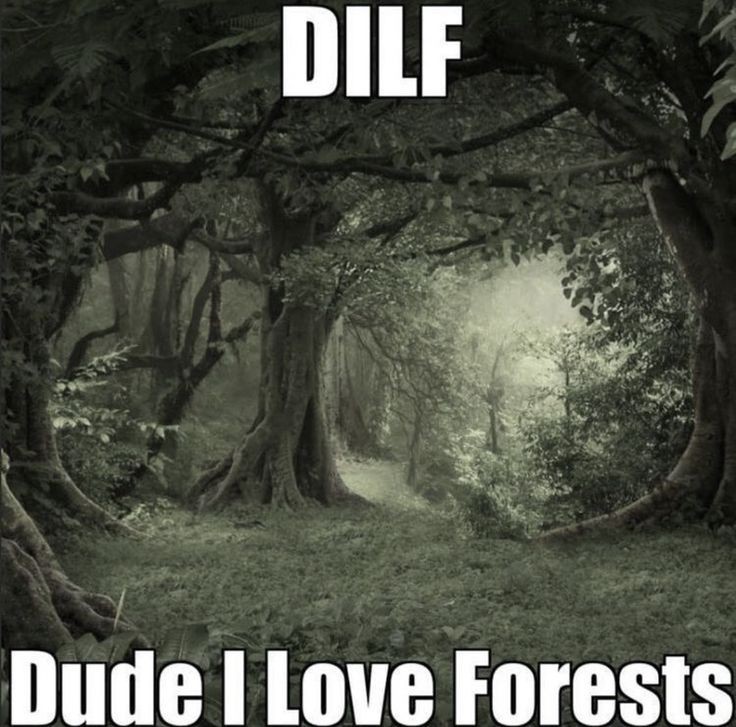 muriel (@murieliam) on Twitter photo 