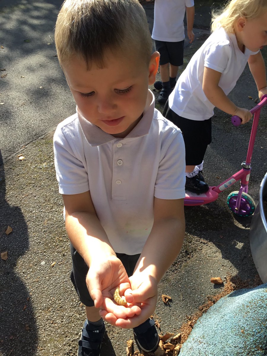 NurseryOPS's tweet image. A beautiful morning outside today for climbing, digging, hula hooping and finding caterpillars 🐛 
#eyfsphysicaldevelopment #eyfsunderstandingoftheworld #playlearnandgrowtogether