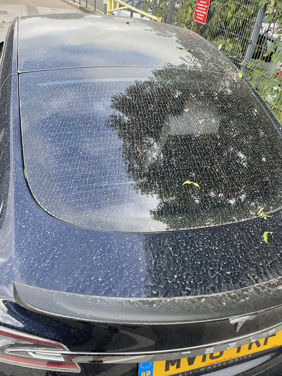greebe123's tweet photo. @Tesla @teslaeurope is this how you return cars to customers after £3000 worth of service work is done? https://t.co/HFSwJ7xNW5