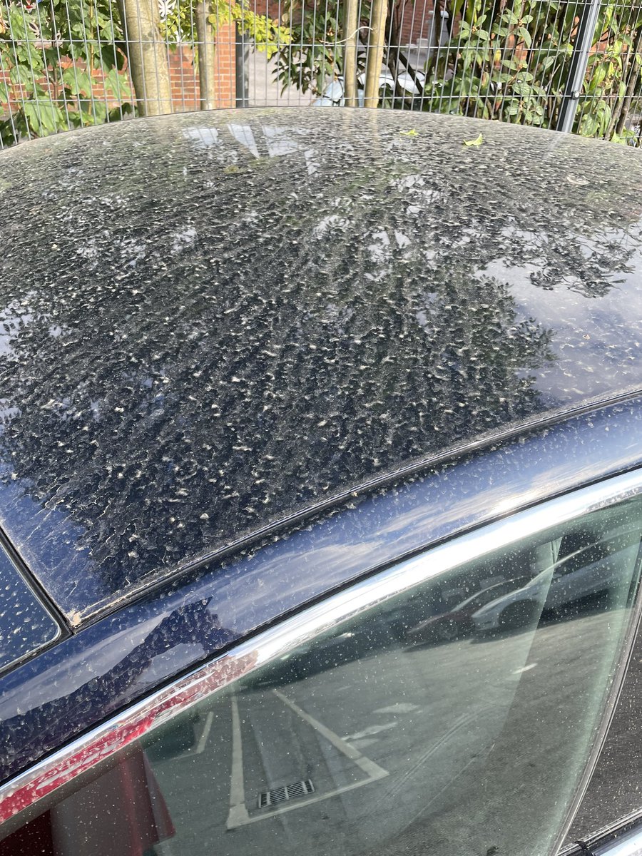 greebe123's tweet photo. @Tesla @teslaeurope is this how you return cars to customers after £3000 worth of service work is done? https://t.co/HFSwJ7xNW5