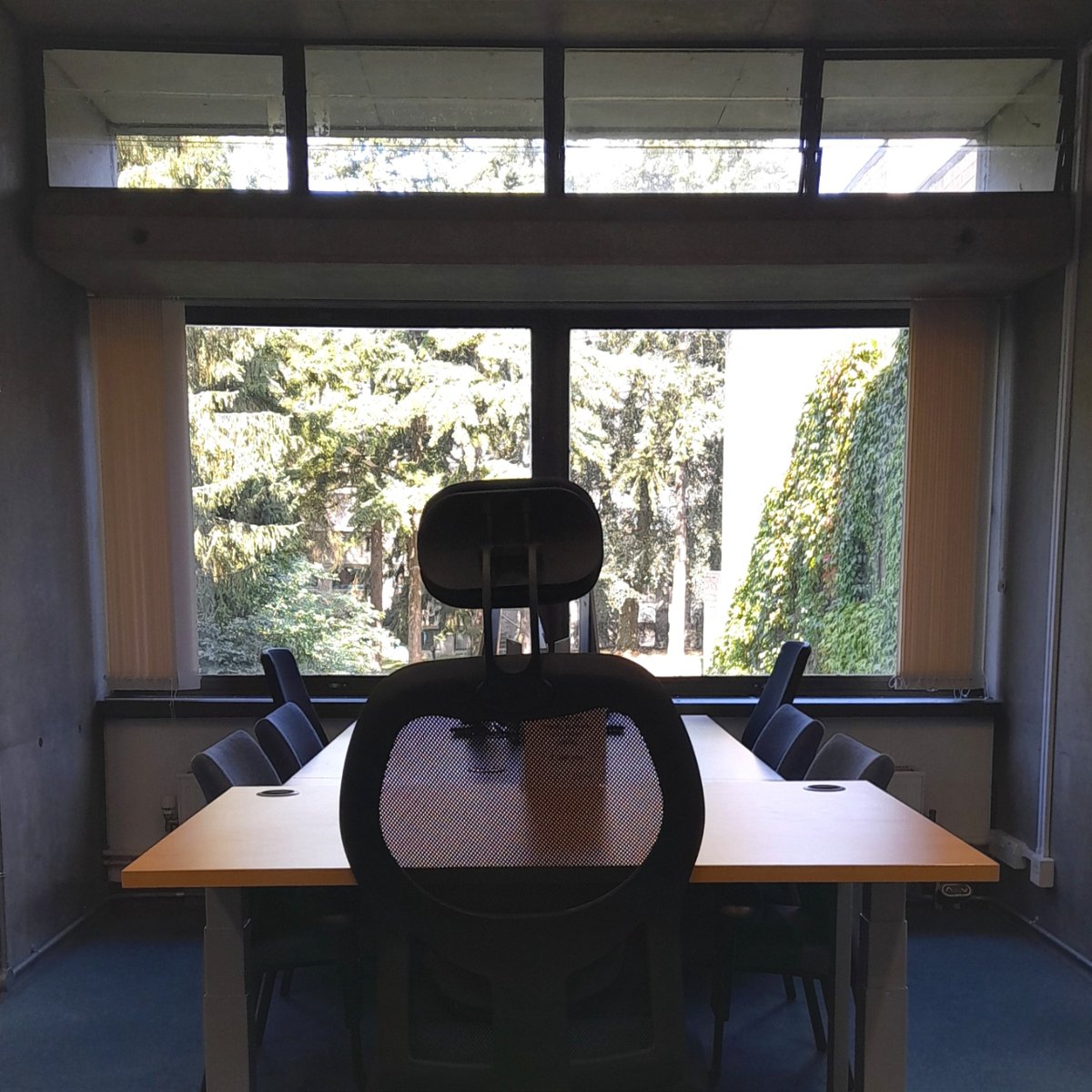 UEALibrary's tweet image. Welcome to your new favourite spot on campus 😍

It's hard not to get inspired when you're studying with views like these! So many of our spaces and rooms come with these gorgeous views of our campus. 🌳

#UEA #UEALibrary #LibraryVibes #StudySpaces #NorwichUEA #UniversityCampus