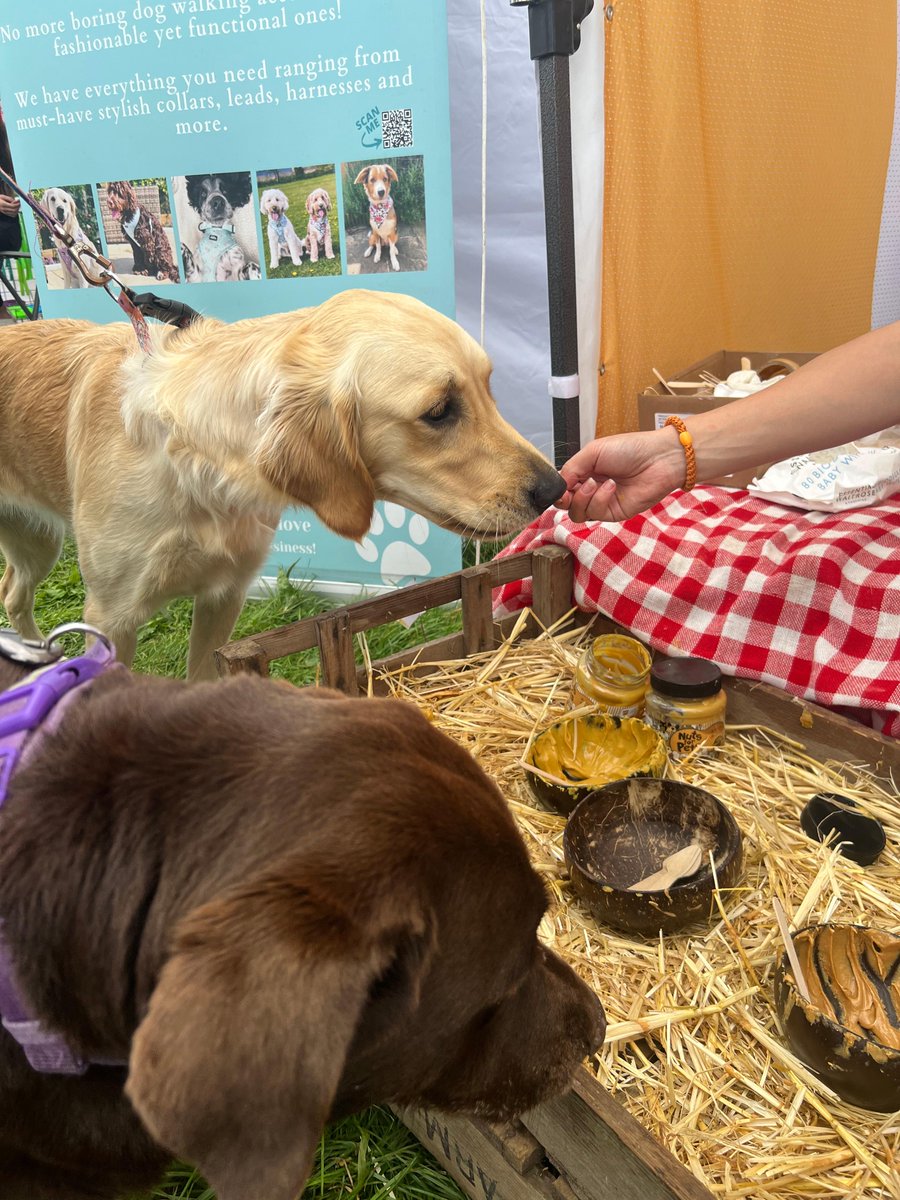 Have you had a chance to look at our exhibitor list for @HarewoodHouse? We have some amazing brands like @nutsforpets dog-friendly peanut butter sourced & ethically produced 🥜 ... and so much more! Take a look at the full list here: ow.ly/mB4150PIJlT
