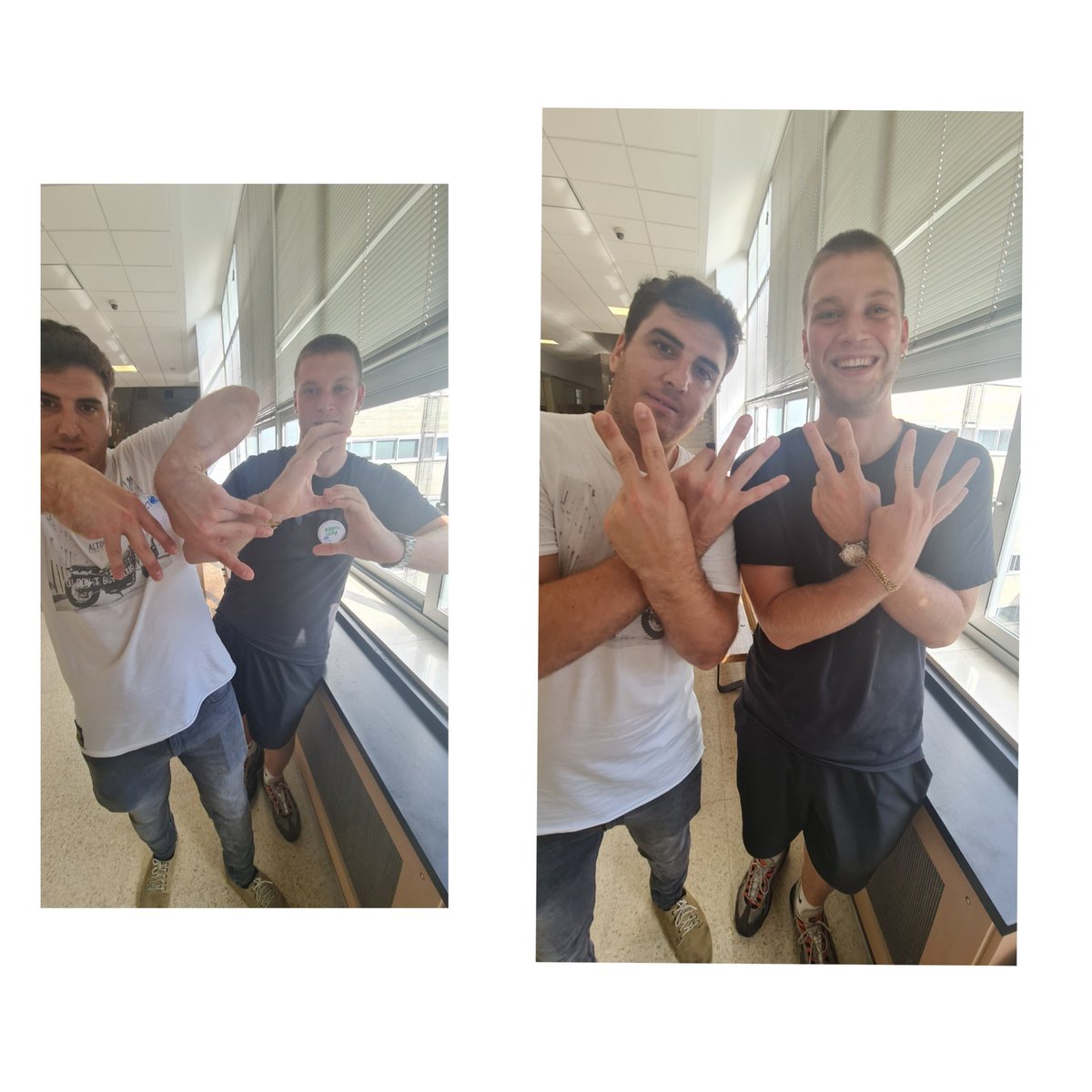 Aymara Breaststroker tweet media