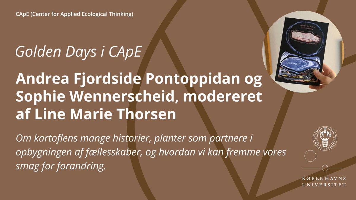 Golden Days Festival i CApE🌱
I morgen taler Sophie Wennerscheid med Andrea Fjordside Pontoppidan om kartoflens historie, planter og fællesskaber. Det er i Læderstræde 20 kl. 15:00. Læs mere her: cape.ku.dk/kalender/2023/…
