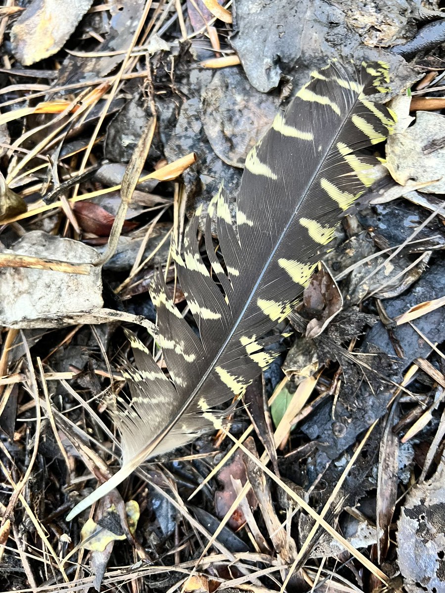 Dr Andrew Digby tweet media