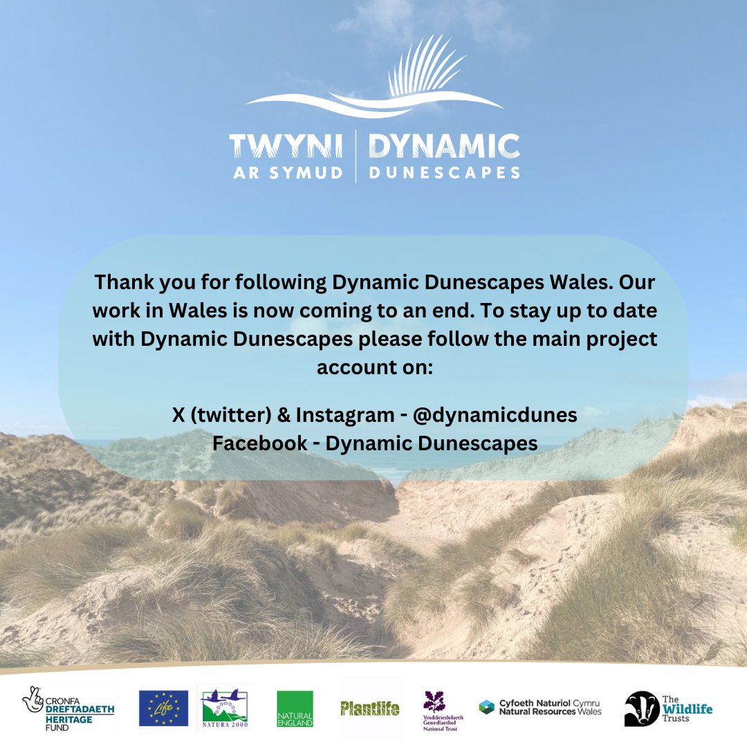 DunesWales tweet media