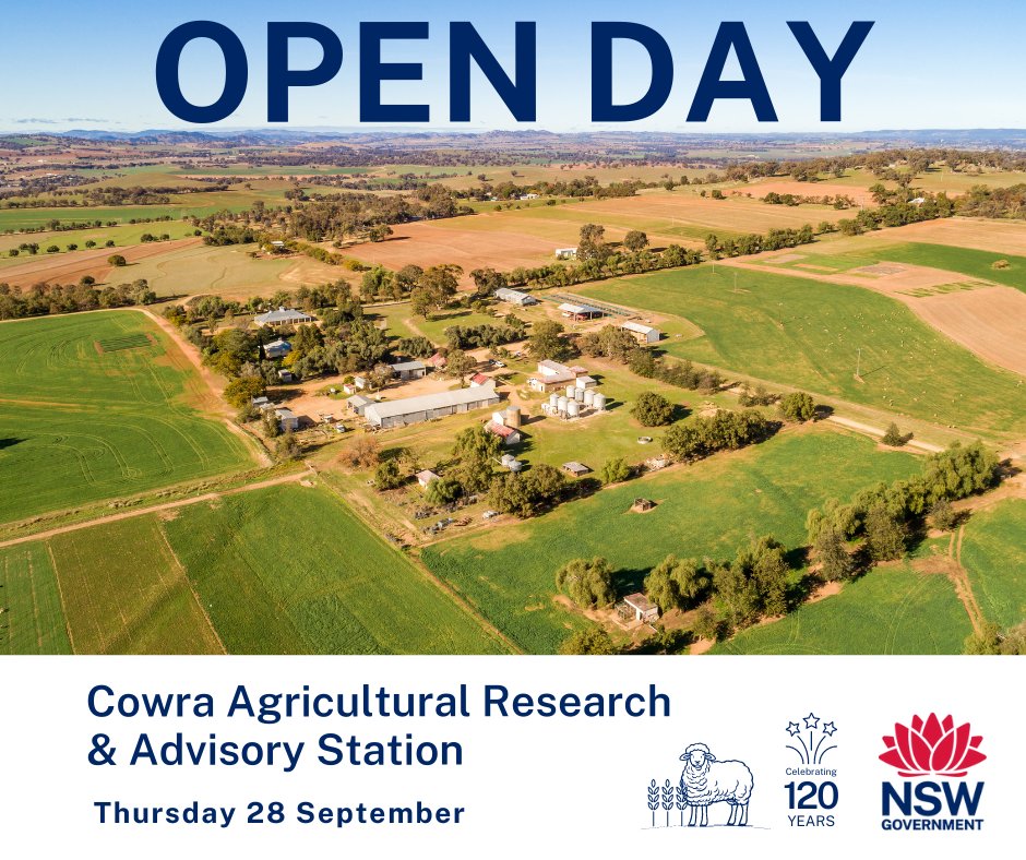 Join us for a day of discovery, fun and innovation at the Cowra Agricultural Research &amp; Advisory Station Open Day.
Get your free tickets now! 
brnw.ch/21wCs5M
#dpiopenday #schoolholidayactivity #cowra