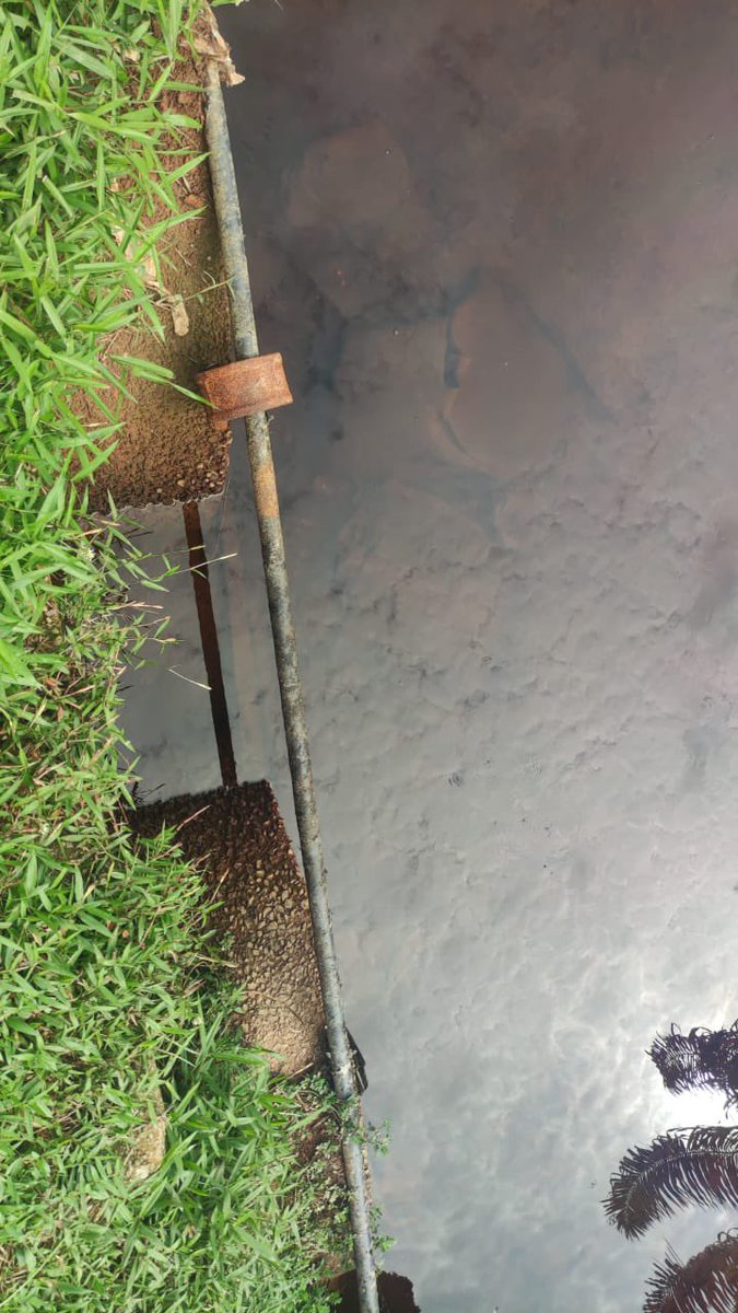 MAKLUMAN 

Mendapat aduan berkenaan jln di FT05 &amp; hasil siasatan pihak JKR di lokasi pg. ini mendapati lokasi berkenaan telah terjadi "sinkhole". Siasatan awal mendapati kegagalan "cross culvert" dibawah jln.Pihak konsesi telah melaksanakan TMP &amp; org ramai diminta berhati-hati.
