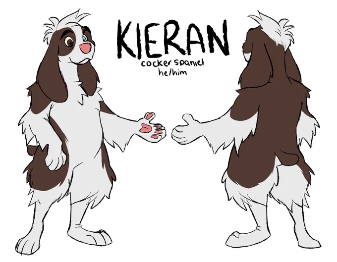 torn between these two designs for him ack