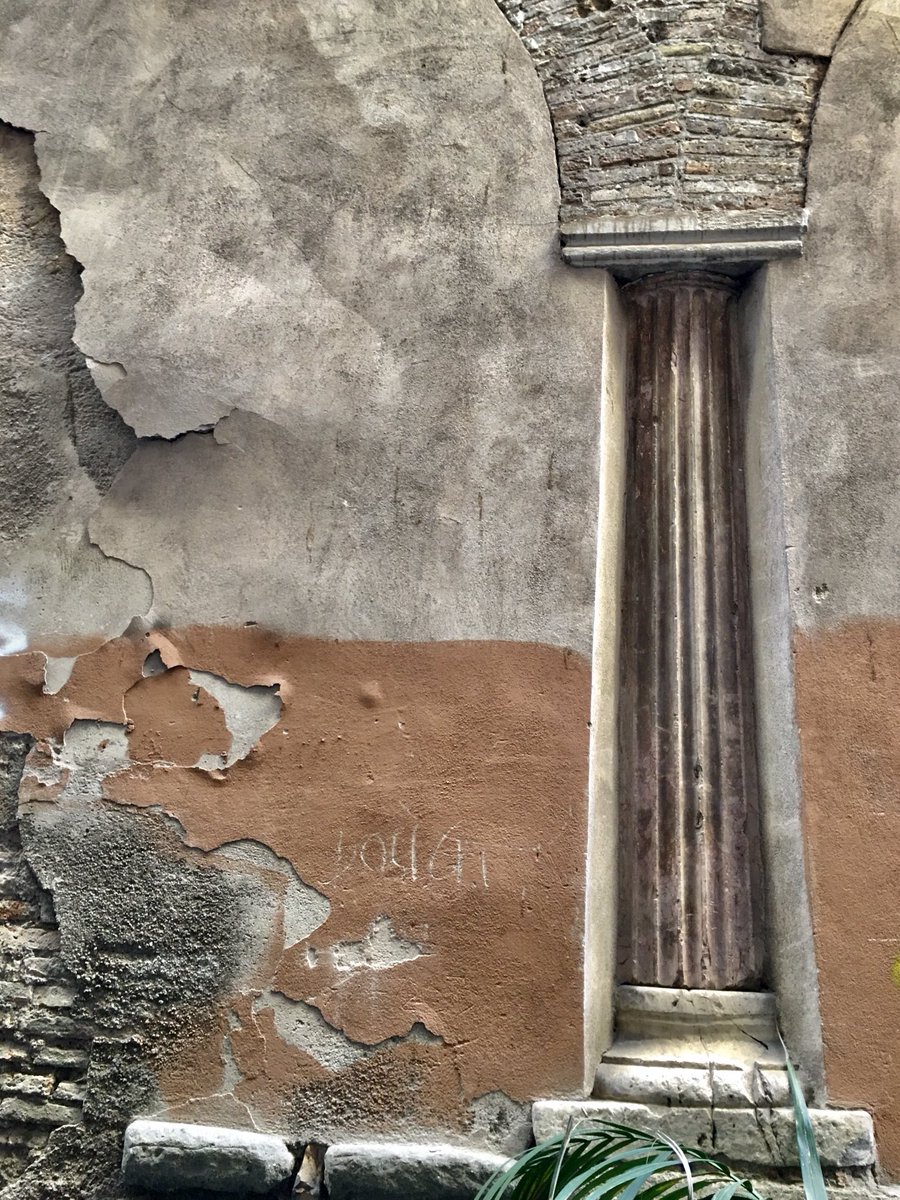 Un ritrovamento inaspettato… 
Bellissima colonna esposta nel muro di Vicolo Savelli… 
#spoila 
#Roma 🤍
#Rome