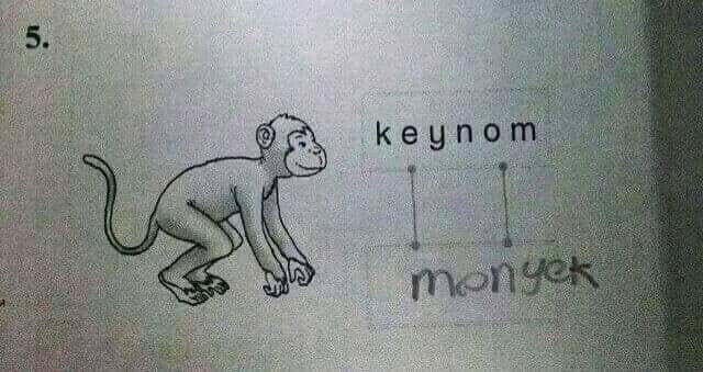 wahyu tromol tweet media