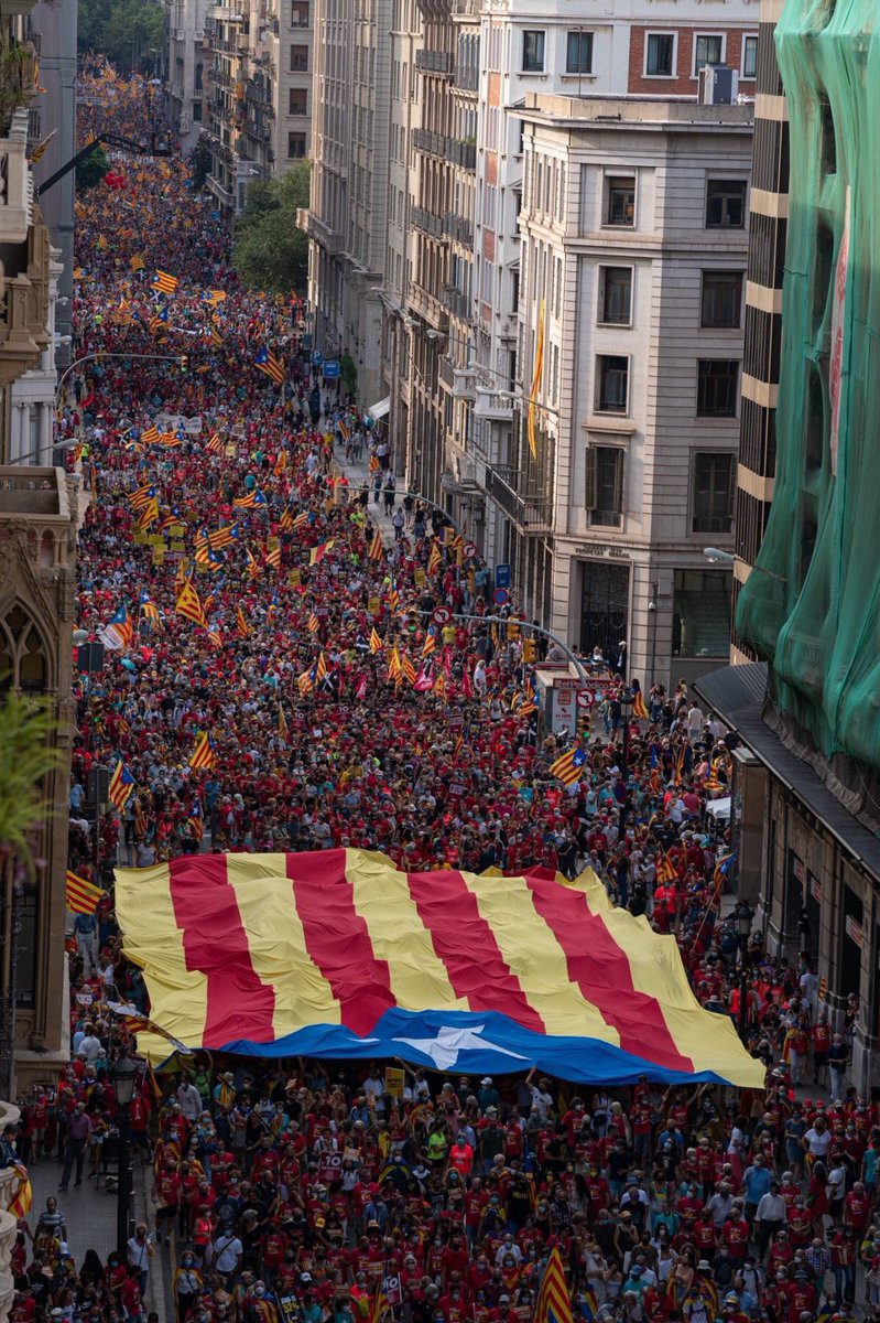 Visca Catalunya Lliure
#DiadaNacional