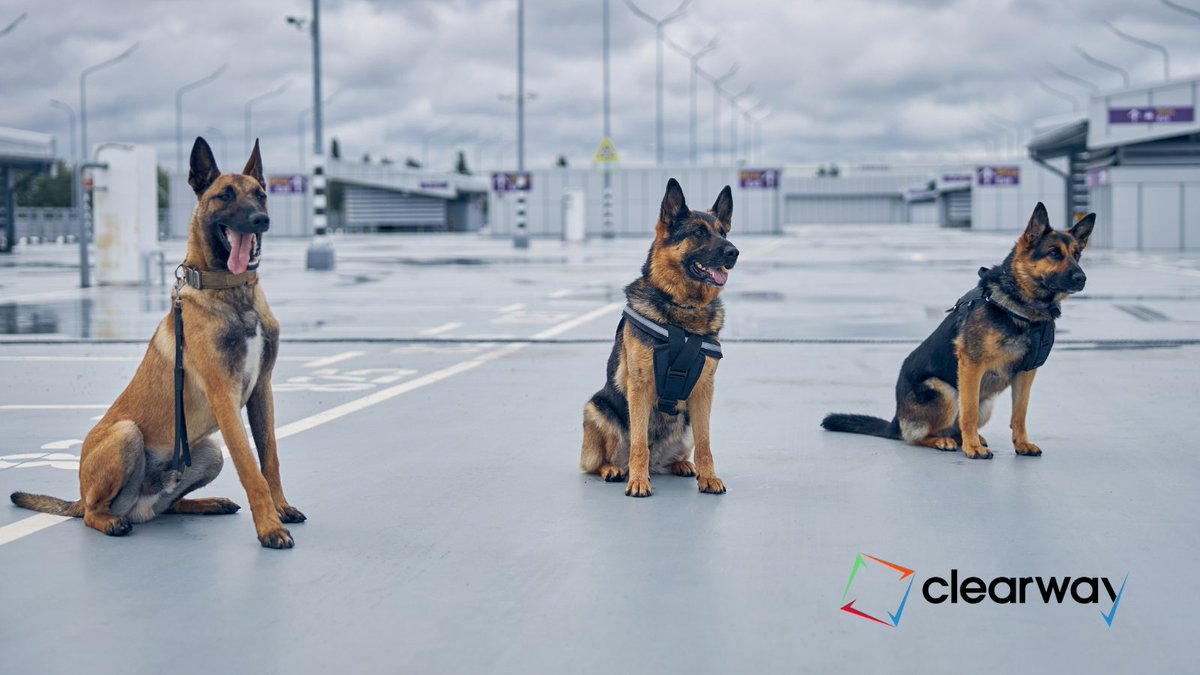 ClearwayScot's tweet image. Security dogs add a new dimension to your security practices, offering a much more visible element to your security detail. Get in touch today to find out more: ow.ly/E36s30swYNQ #Security #SecurityDog