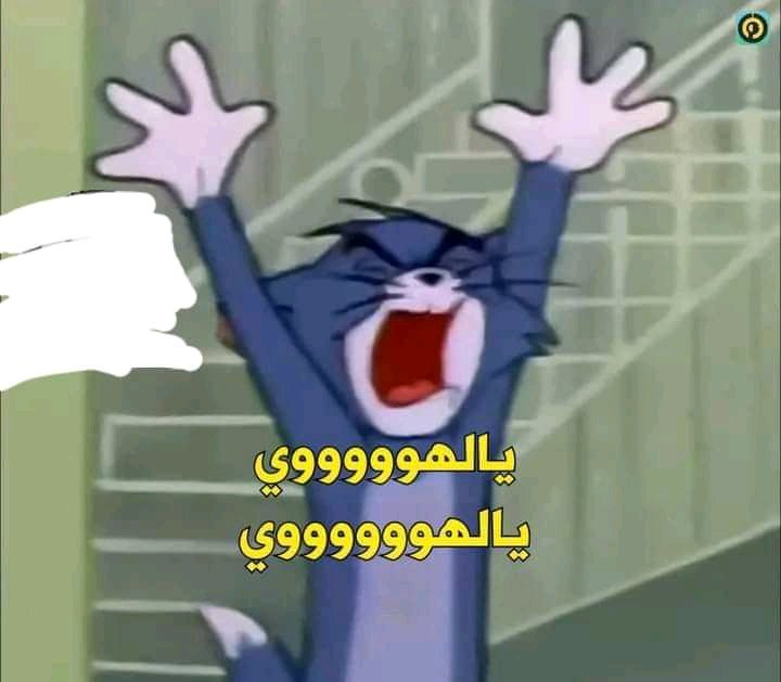 mfy50's tweet photo. @m7md_9014 افهم شو https://t.co/1OBlbVzDMx