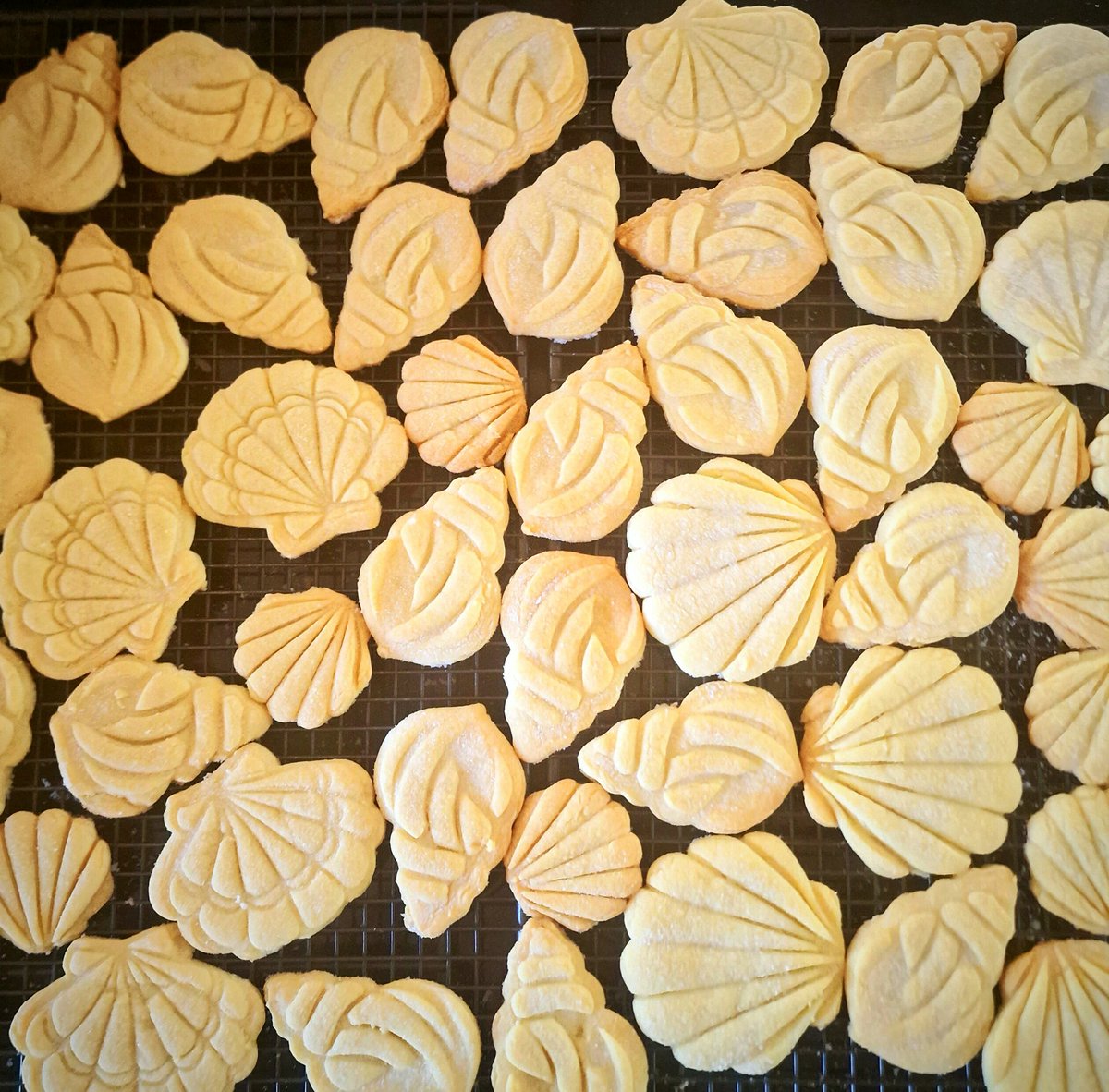 Kenilworth Books🌱🌺🌻🦔 tweet media