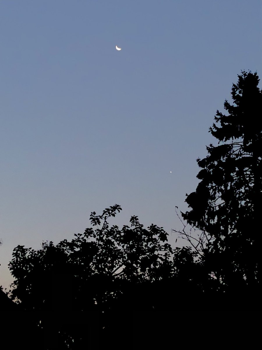 Lovely conjunction of the Moon and #venus this morning. I was up a tiny bit late for comet #Nishimura , but maybe tomorrow as I have a day off…