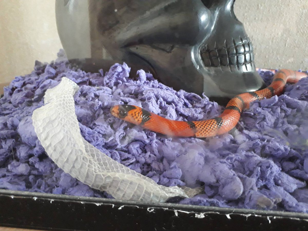 今朝脱いでた報告😅👍

とってやってや～ww