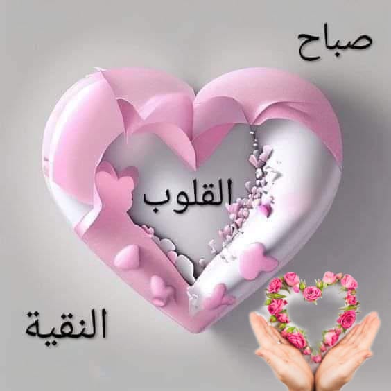 صباح القلوب  
اللهم صل على محمد وآل محمد 
#اللهم_عجل_لوليك_الفرج