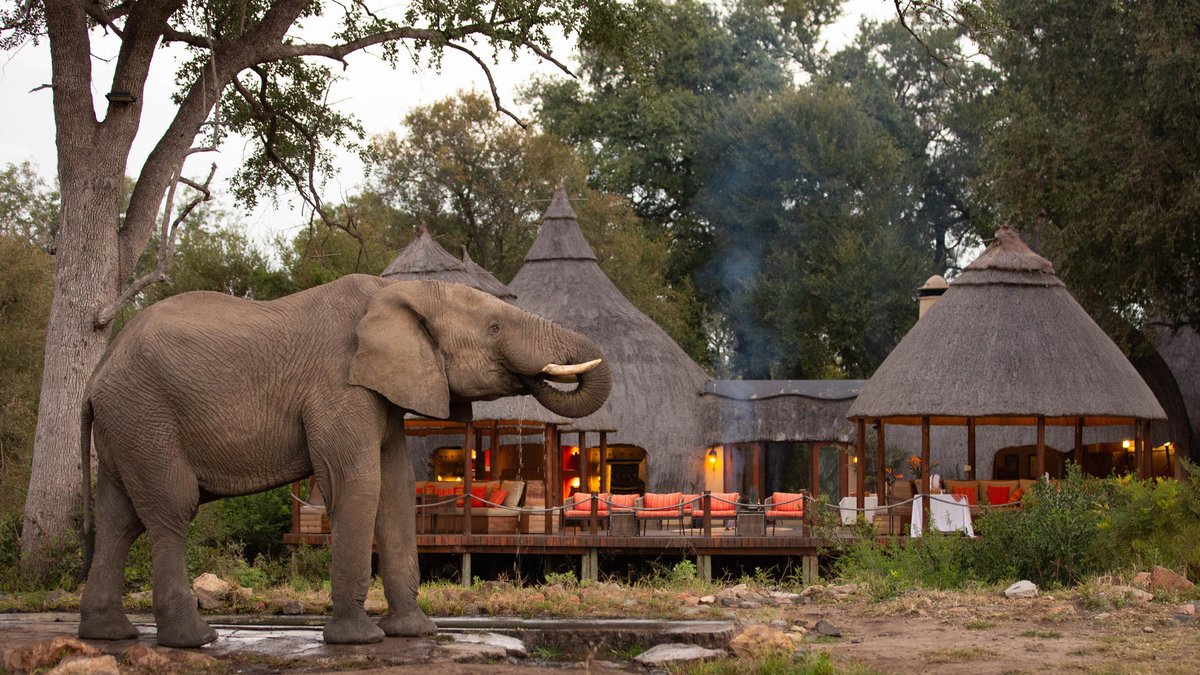 Letsgetlost_SA's tweet photo. #TravelPICKME #KZN 
2-Night-Stay at Hoyo Hoyo Safari Lodge
PRICE: R10819 pps

INCLUDES:
- Accommodation
- 3 Meals daily
- Selected beverages 
- 2 Safaris daily
- Travel Voucher worth R300

Valid for travel until 30 Nov 2023

Full package info: https://t.co/DGRkQFKZEb https://t.co/I1cQIRxYO6