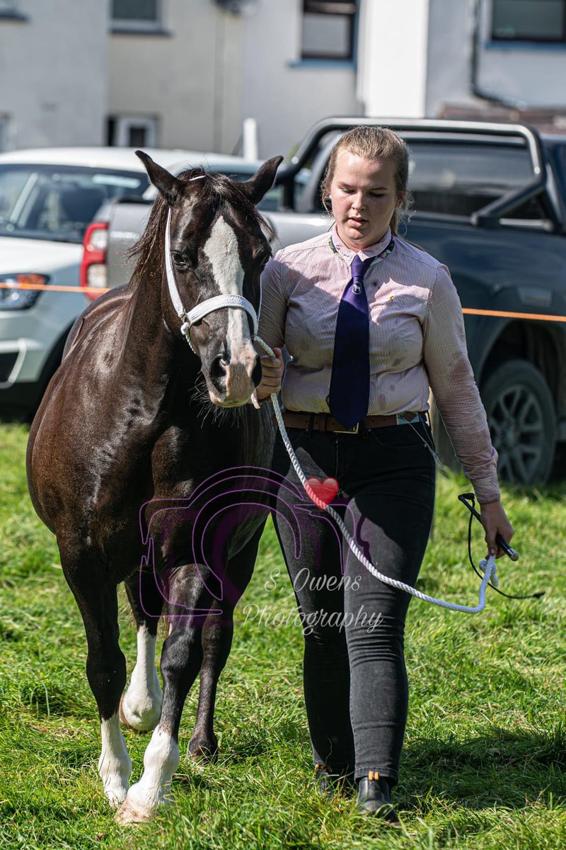 Sioe Llansawel Show (@llansawelshow) on Twitter photo 
