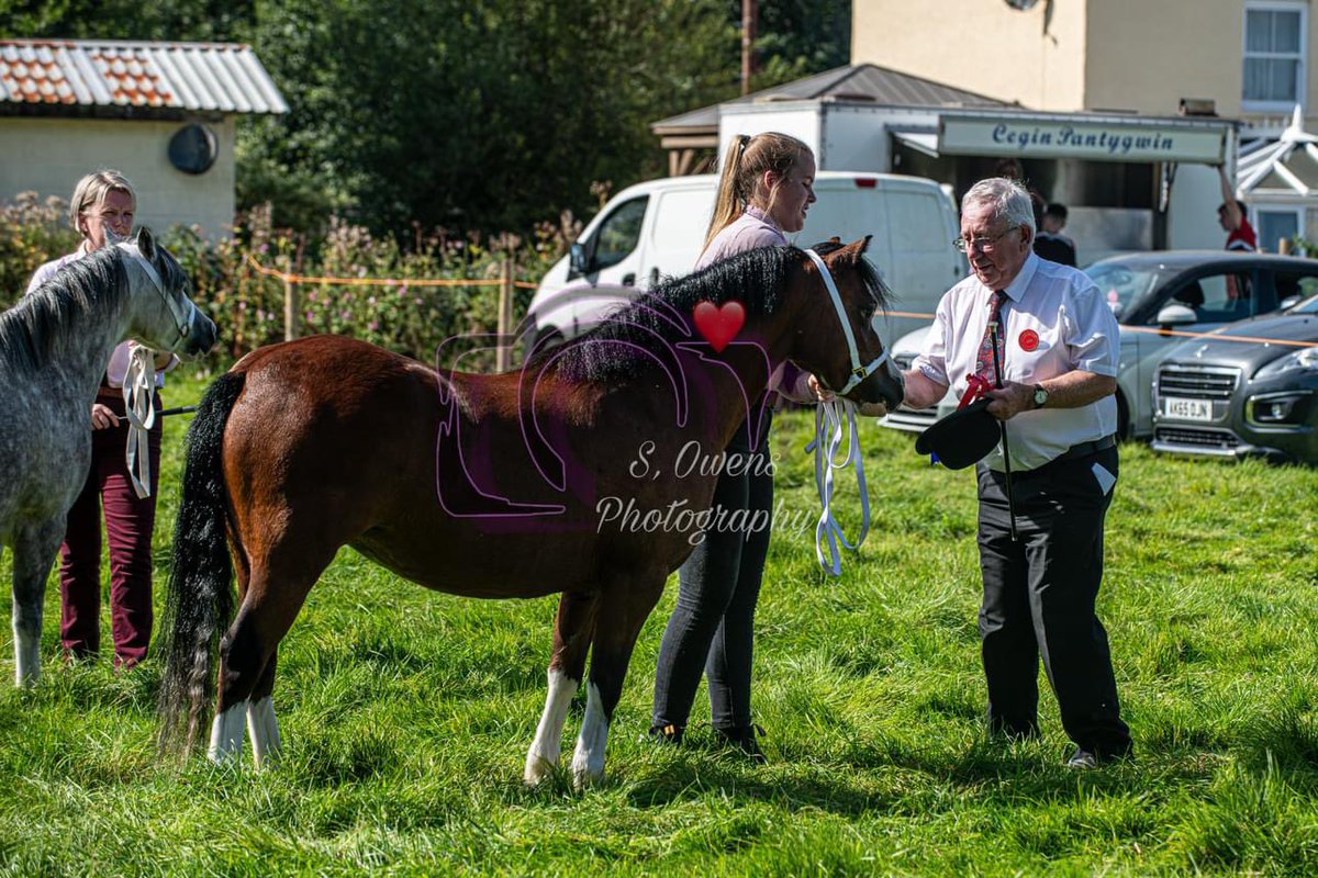 Sioe Llansawel Show (@llansawelshow) on Twitter photo 