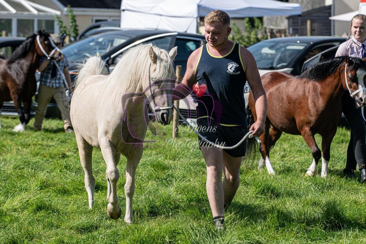 Sioe Llansawel Show (@llansawelshow) on Twitter photo 