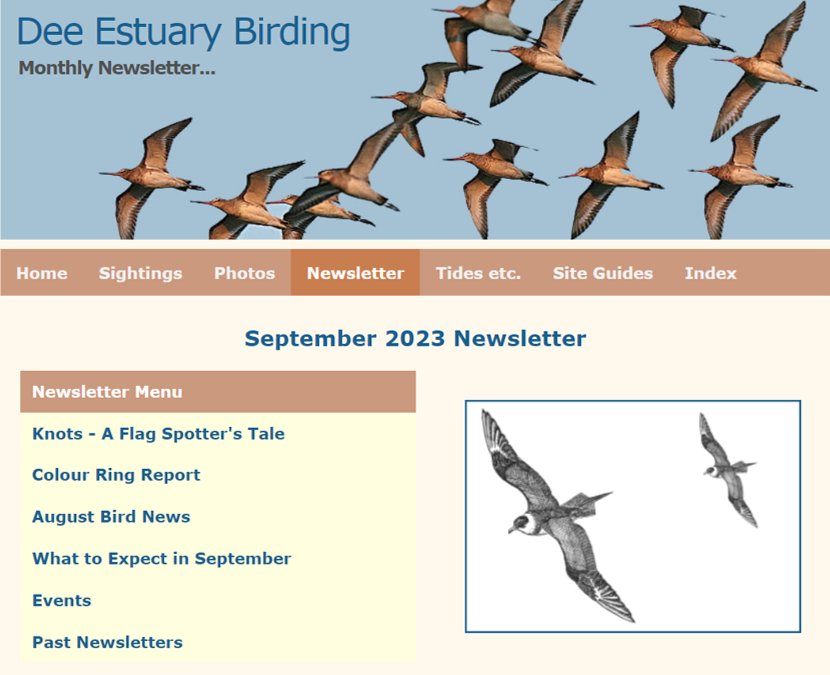 Colour-ring readers will enjoy this wonderful blog from @deeestuary (Richard Smith - Dee Estuary) deeestuary.co.uk/news0923.htm He makes a huge contribution to our understanding of movements of #waders #shorebirds #ornithology