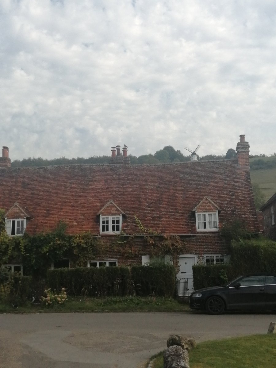 Magical Trevor tweet media