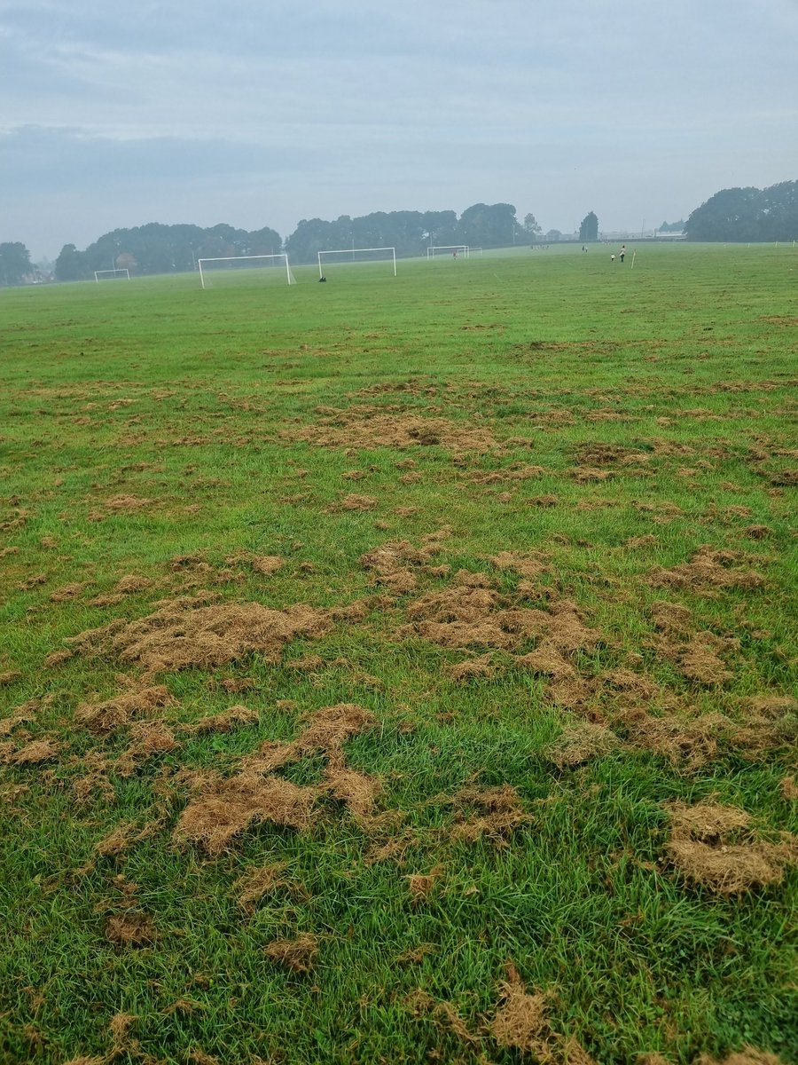 PeterCatmac's tweet image. 1st game of the season for most grass roots football teams on Saturday and the local girls teams are expected to play on a pitch like this , @WirralCouncil you should be a shamed of yourselves, @Cheshire_FA  @WIRRALGLOBENEWS @womensfootiemag
