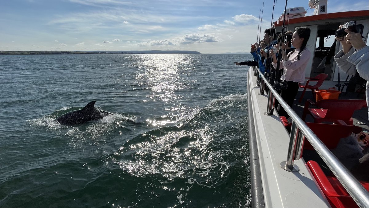#Dolphins 

best way to see dolphins? book a fishhing trip!