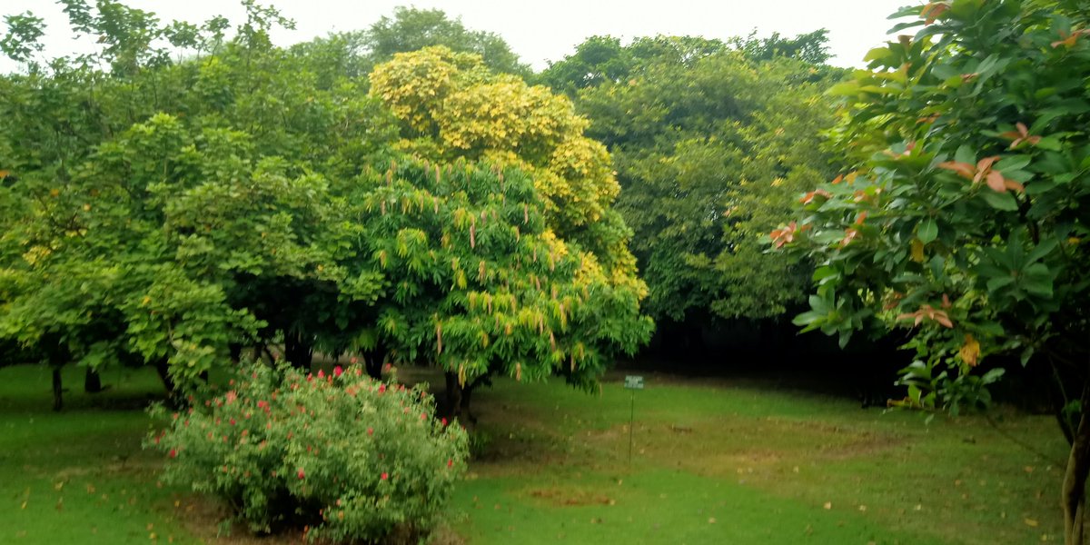 bhagwan_swaroop's tweet image. देश की मौजूदा दुर्व्यवस्था के समाधान के लिए एक वैकल्पिक ऐजेन्डा व्यापक जनहित में हम सबको मिलकर पेश करें जिसे राजनीतिक दल स्वीकार कर सरकार के खिलाफ बड़ा जनांदोलन खड़ा करें।