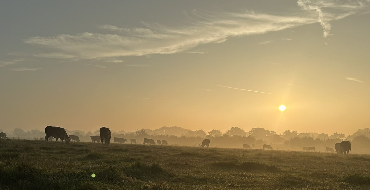 Philip Vincent (@pulhamherefords) on Twitter photo Good morning Good morning