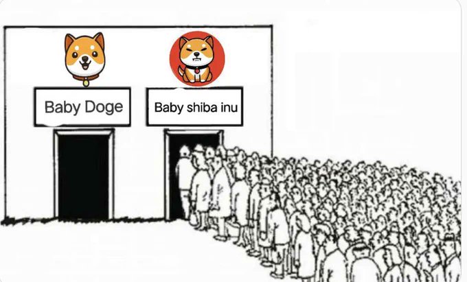 All eyes on #BabyShib 👀  Though #BabyDoge is the current top dog, the masses are queuing up for the offspring of $SHIB.   Our mission remains unshaken. Here's to an exciting week ahead! 📷 #BabyShibaInu #BabyShibArmy #SHIBARMY #ETH