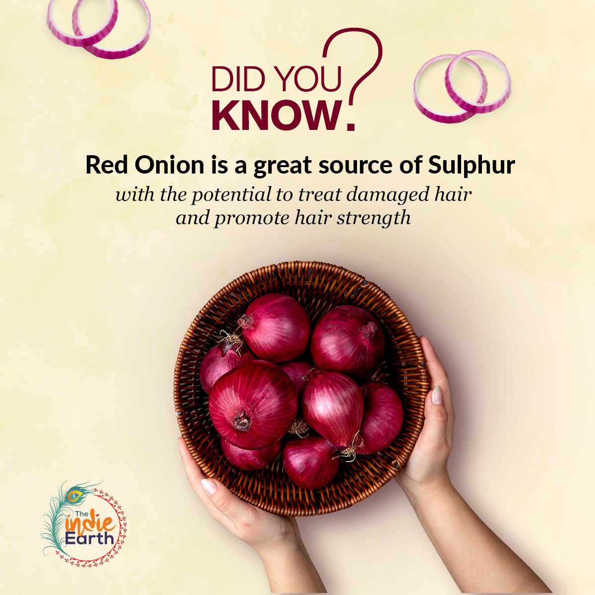 🤔DID YOU KNOW ?
Red Onion🧅 is a great source of Sulphur 💆‍♀️ with the potential to treat damaged hair and promote hair strength.
theindieearth.in
#theindieearth #redonionoil #redonionshampoo  #sulphurboost #onionmagic #strongerhair #naturalremedy #herbal #wecareforyou