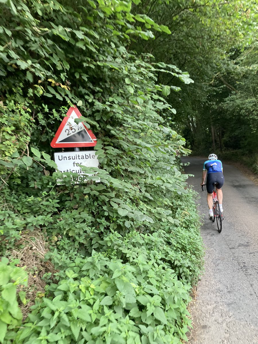 Strawberry Hill Velo tweet media