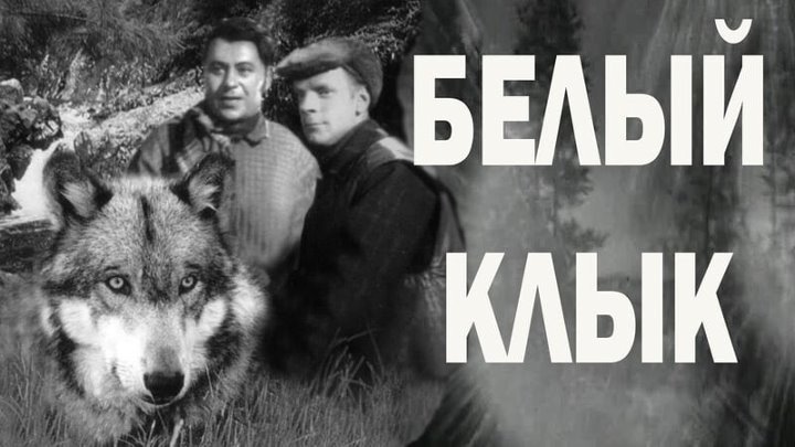 11 сентября 1946 года премьера фильма "Белый клык".