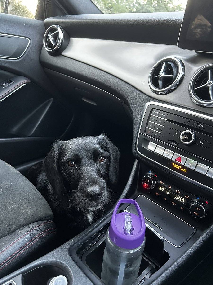 George Coles 🏳️‍🌈 tweet media