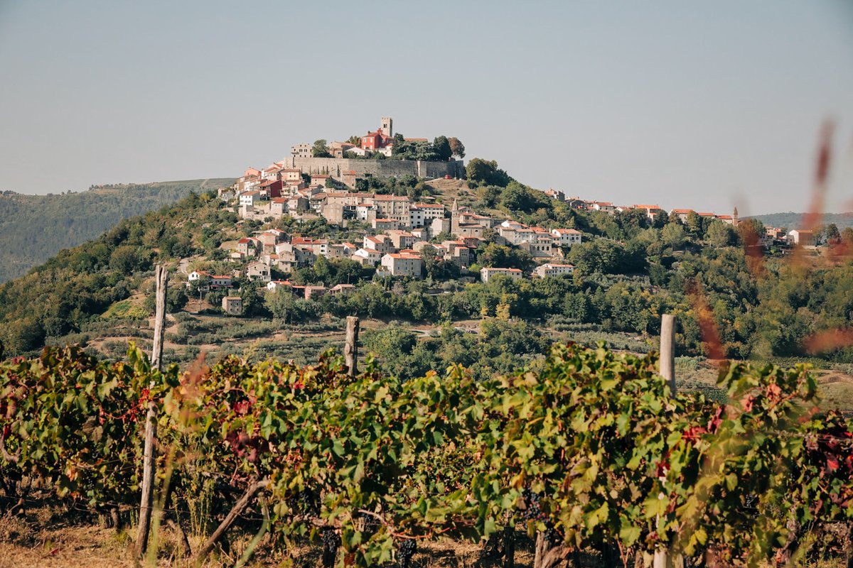 Onih dana dok sam se muvao po istarskim vinogradima s pogledom...
#Motovun
